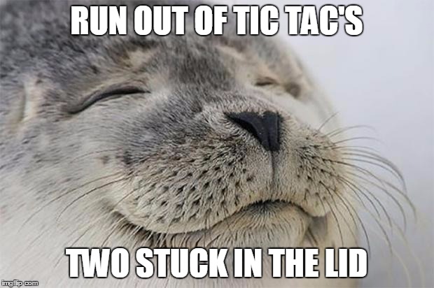 Satisfied Seal Meme | RUN OUT OF TIC TAC'S TWO STUCK IN THE LID | image tagged in memes,satisfied seal | made w/ Imgflip meme maker