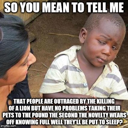 Third World Skeptical Kid | SO YOU MEAN TO TELL ME THAT PEOPLE ARE OUTRAGED BY THE KILLING OF A LION BUT HAVE NO PROBLEMS TAKING THEIR PETS TO THE POUND THE SECOND THE  | image tagged in memes,third world skeptical kid | made w/ Imgflip meme maker