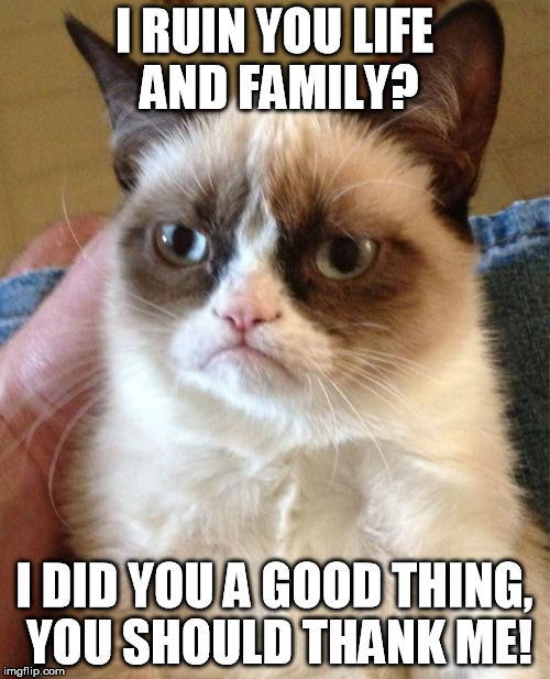 Grumpy Cat Meme | I RUIN YOU LIFE AND FAMILY? I DID YOU A GOOD THING, YOU SHOULD THANK ME! | image tagged in memes,grumpy cat | made w/ Imgflip meme maker