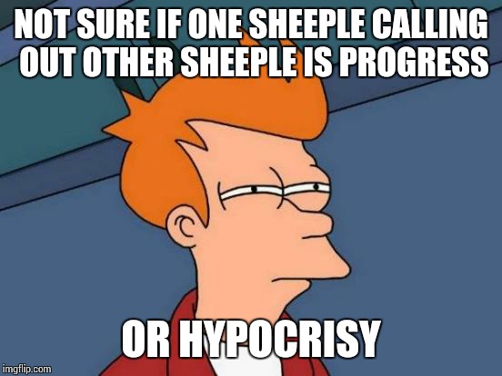 I'm Confused | NOT SURE IF ONE SHEEPLE CALLING OUT OTHER SHEEPLE IS PROGRESS OR HYPOCRISY | image tagged in memes,futurama fry,sheeple | made w/ Imgflip meme maker