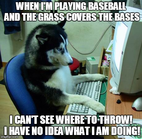 I Have No Idea What I Am Doing | WHEN I'M PLAYING BASEBALL AND THE GRASS COVERS THE BASES I CAN'T SEE WHERE TO THROW! I HAVE NO IDEA WHAT I AM DOING! | image tagged in memes,i have no idea what i am doing | made w/ Imgflip meme maker