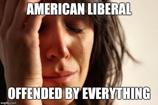 First World Problems | AMERICAN LIBERAL OFFENDED BY EVERYTHING | image tagged in memes,first world problems | made w/ Imgflip meme maker