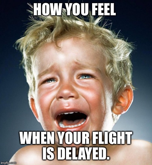 HOW YOU FEEL WHEN YOUR FLIGHT IS DELAYED. | image tagged in flight delayed | made w/ Imgflip meme maker