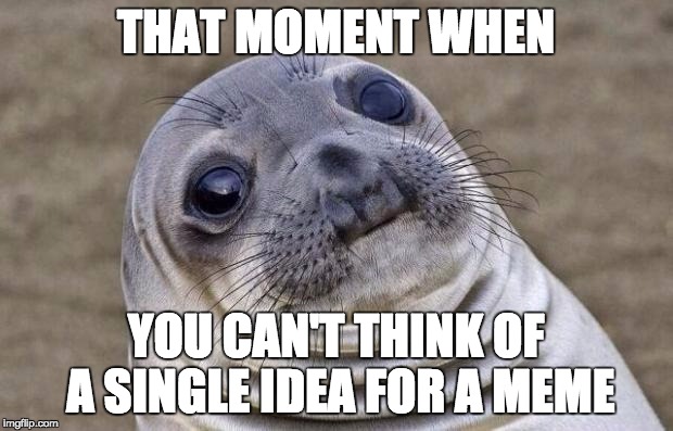 Awkward Moment Sealion | THAT MOMENT WHEN YOU CAN'T THINK OF A SINGLE IDEA FOR A MEME | image tagged in memes,awkward moment sealion | made w/ Imgflip meme maker