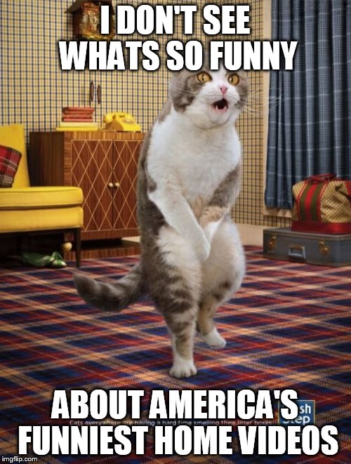 Gotta Go Cat | I DON'T SEE WHATS SO FUNNY ABOUT AMERICA'S FUNNIEST HOME VIDEOS | image tagged in memes,gotta go cat | made w/ Imgflip meme maker