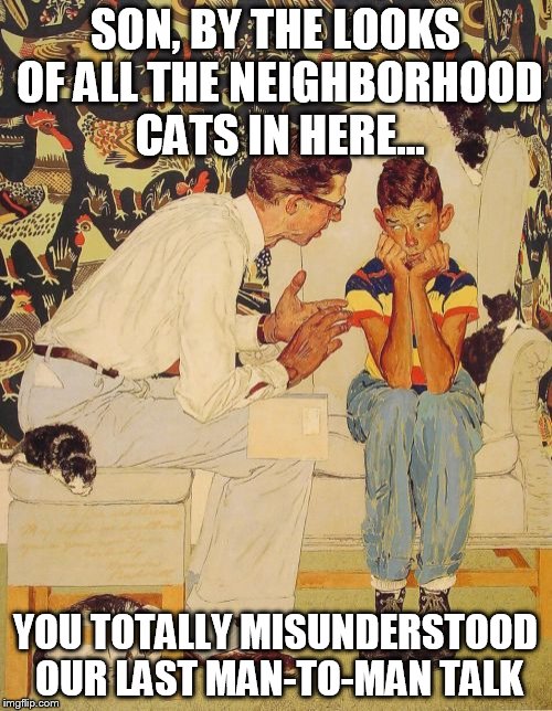 The Problem Is | SON, BY THE LOOKS OF ALL THE NEIGHBORHOOD CATS IN HERE... YOU TOTALLY MISUNDERSTOOD OUR LAST MAN-TO-MAN TALK | image tagged in memes,the probelm is | made w/ Imgflip meme maker