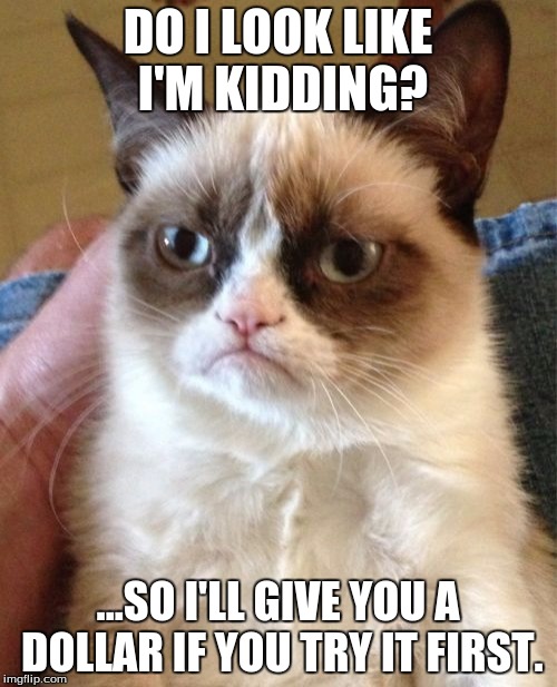 Grumpy Cat Meme | DO I LOOK LIKE I'M KIDDING? ...SO I'LL GIVE YOU A DOLLAR IF YOU TRY IT FIRST. | image tagged in memes,grumpy cat | made w/ Imgflip meme maker