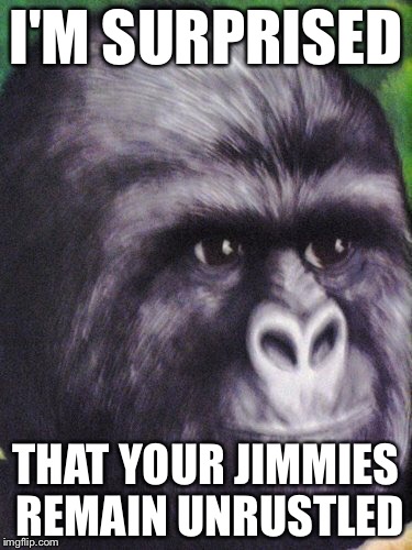 That really rustled my jimmies! | I'M SURPRISED THAT YOUR JIMMIES REMAIN UNRUSTLED | image tagged in that really rustled my jimmies | made w/ Imgflip meme maker