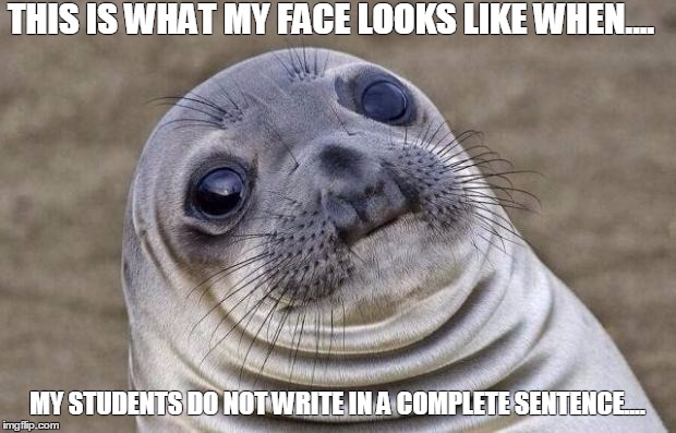 Awkward Moment Sealion | THIS IS WHAT MY FACE LOOKS LIKE WHEN.... MY STUDENTS DO NOT WRITE IN A COMPLETE SENTENCE.... | image tagged in memes,awkward moment sealion | made w/ Imgflip meme maker