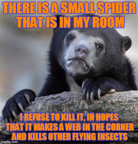 Confession Bear | THERE IS A SMALL SPIDER THAT IS IN MY ROOM I REFUSE TO KILL IT, IN HOPES THAT IT MAKES A WEB IN THE CORNER AND KILLS OTHER FLYING INSECTS | image tagged in memes,confession bear | made w/ Imgflip meme maker