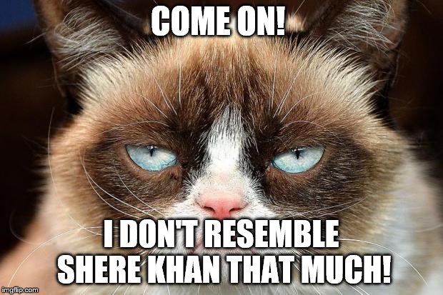 Grumpy Cat Not Amused | COME ON! I DON'T RESEMBLE SHERE KHAN THAT MUCH! | image tagged in grumpy cat not amused | made w/ Imgflip meme maker