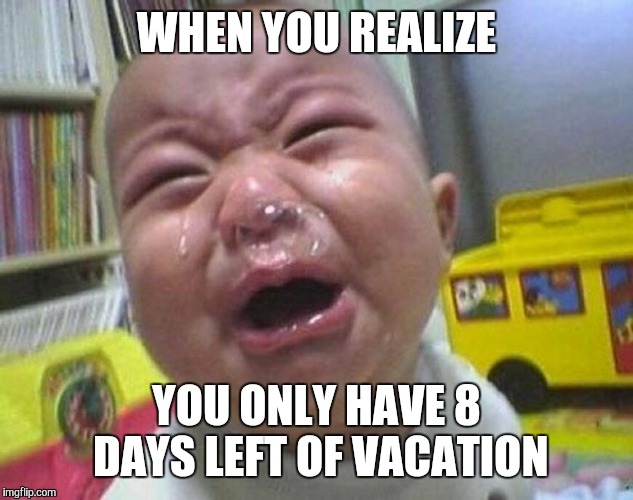 WHEN YOU REALIZE YOU ONLY HAVE 8 DAYS LEFT OF VACATION | image tagged in ProtectAndServe | made w/ Imgflip meme maker