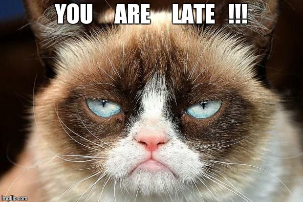Grumpy Cat Not Amused Meme | YOU     ARE     LATE   !!! | image tagged in grumpy cat not amused | made w/ Imgflip meme maker