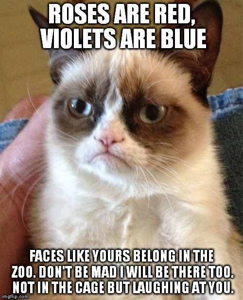 Grumpy Cat Meme | ROSES ARE RED, VIOLETS ARE BLUE FACES LIKE YOURS BELONG IN THE ZOO.
DON'T BE MAD I WILL BE THERE TOO. NOT IN THE CAGE BUT LAUGHING AT YOU. | image tagged in memes,grumpy cat | made w/ Imgflip meme maker