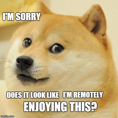 Doge | I'M SORRY DOES IT LOOK LIKE I'M REMOTELY ENJOYING THIS? | image tagged in memes,doge | made w/ Imgflip meme maker