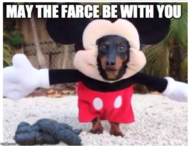 i.c. wiener | image tagged in dog | made w/ Imgflip meme maker