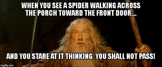 No spiders allowed. | WHEN YOU SEE A SPIDER WALKING ACROSS THE PORCH TOWARD THE FRONT DOOR.... AND YOU STARE AT IT THINKING  YOU SHALL NOT PASS! | image tagged in gandalf you shall not pass | made w/ Imgflip meme maker