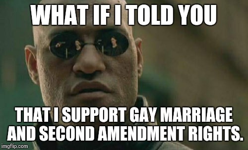 Matrix Morpheus Meme | WHAT IF I TOLD YOU THAT I SUPPORT GAY MARRIAGE AND SECOND AMENDMENT RIGHTS. | image tagged in memes,matrix morpheus | made w/ Imgflip meme maker