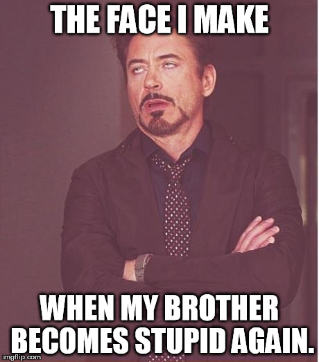 True story. I hate my brother. | THE FACE I MAKE WHEN MY BROTHER BECOMES STUPID AGAIN. | image tagged in memes,face you make robert downey jr | made w/ Imgflip meme maker