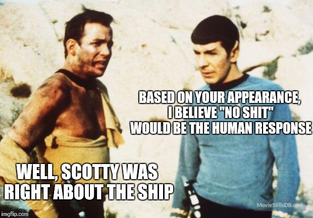Beat up Captain Kirk | WELL, SCOTTY WAS RIGHT ABOUT THE SHIP BASED ON YOUR APPEARANCE, I BELIEVE "NO SHIT" WOULD BE THE HUMAN RESPONSE | image tagged in beat up captain kirk | made w/ Imgflip meme maker