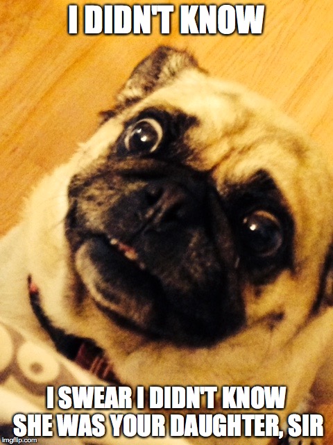 I DIDN'T KNOW I SWEAR I DIDN'T KNOW SHE WAS YOUR DAUGHTER, SIR | image tagged in panda the pug | made w/ Imgflip meme maker