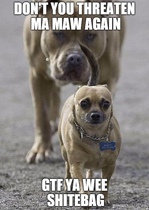 Dogs | DON'T YOU THREATEN MA MAW AGAIN GTF YA WEE SHITEBAG | image tagged in dogs | made w/ Imgflip meme maker