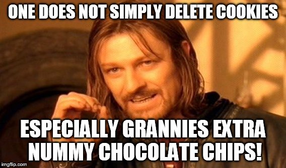 One Does Not Simply | ONE DOES NOT SIMPLY DELETE COOKIES ESPECIALLY GRANNIES EXTRA NUMMY CHOCOLATE CHIPS! | image tagged in memes,one does not simply | made w/ Imgflip meme maker