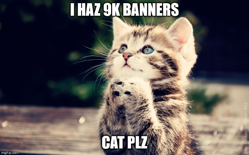 I HAZ 9K BANNERS CAT PLZ | made w/ Imgflip meme maker