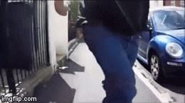 pcvem.gif