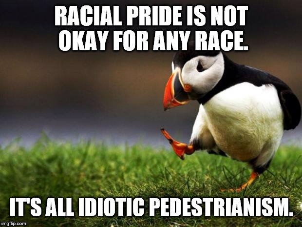 Unpopular Opinion Puffin | RACIAL PRIDE IS NOT OKAY FOR ANY RACE. IT'S ALL IDIOTIC PEDESTRIANISM. | image tagged in memes,unpopular opinion puffin | made w/ Imgflip meme maker