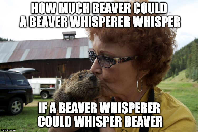 Did You Have To Whisper To Read This Then Come Check Out My Beaver Imgflip