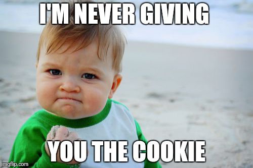 Success Kid Original | I'M NEVER GIVING YOU THE COOKIE | image tagged in memes,success kid original | made w/ Imgflip meme maker