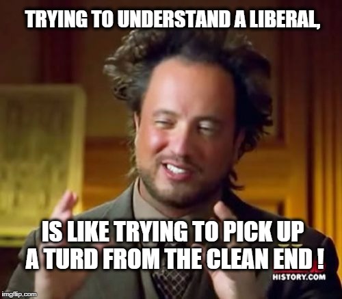 Ancient Aliens Meme | TRYING TO UNDERSTAND A LIBERAL, IS LIKE TRYING TO PICK UP A TURD FROM THE CLEAN END ! | image tagged in memes,ancient aliens | made w/ Imgflip meme maker