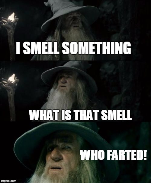 Confused Gandalf Meme | I SMELL SOMETHING WHAT IS THAT SMELL WHO FARTED! | image tagged in memes,confused gandalf | made w/ Imgflip meme maker