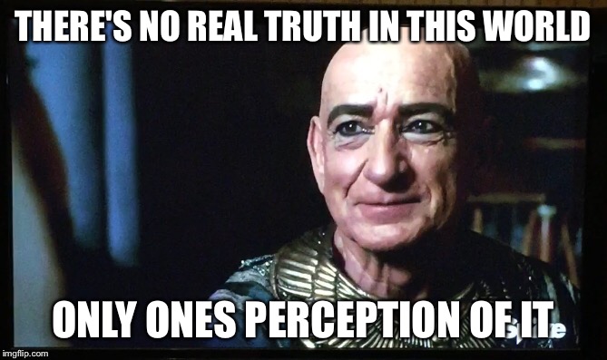 THERE'S NO REAL TRUTH IN THIS WORLD ONLY ONES PERCEPTION OF IT | image tagged in real truth,funny,memes,truth,life,first world problems | made w/ Imgflip meme maker