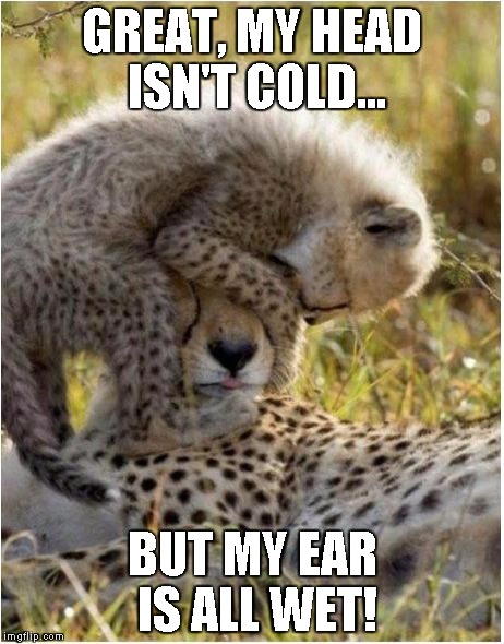 Kids | GREAT, MY HEAD ISN'T COLD... BUT MY EAR IS ALL WET! | image tagged in kids | made w/ Imgflip meme maker