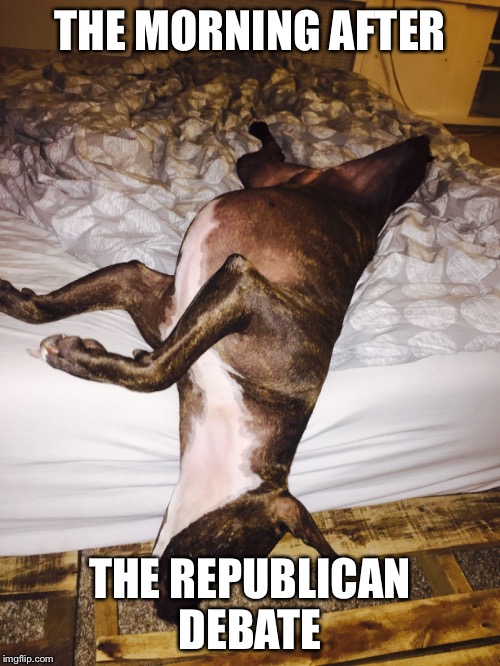 The morning after | THE MORNING AFTER THE REPUBLICAN DEBATE | image tagged in republican debate,pitbull | made w/ Imgflip meme maker