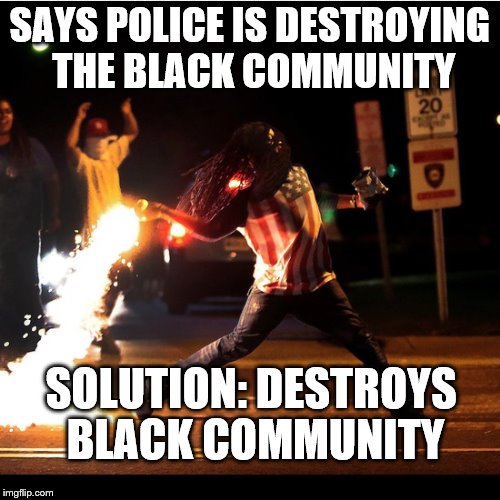 SAYS POLICE IS DESTROYING THE BLACK COMMUNITY SOLUTION: DESTROYS BLACK COMMUNITY | image tagged in ferguson | made w/ Imgflip meme maker