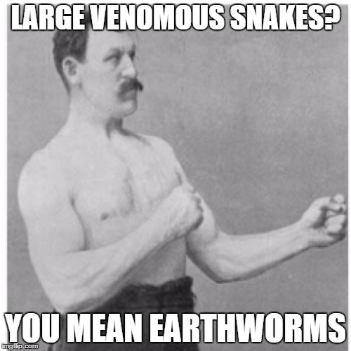 Overly Manly Man | LARGE VENOMOUS SNAKES? YOU MEAN EARTHWORMS | image tagged in memes,overly manly man | made w/ Imgflip meme maker