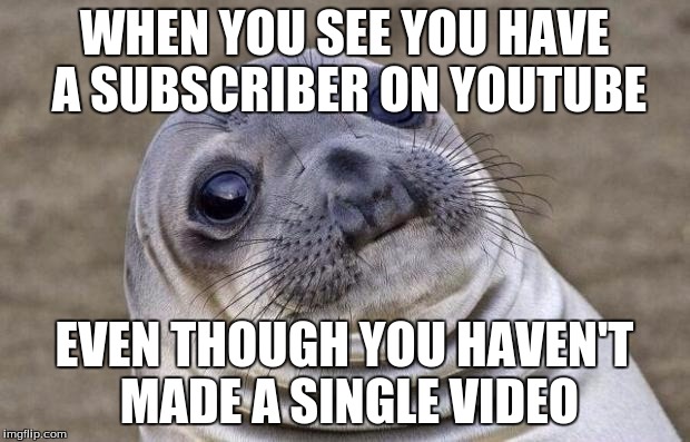 Who is this mysterious person? | WHEN YOU SEE YOU HAVE A SUBSCRIBER ON YOUTUBE EVEN THOUGH YOU HAVEN'T MADE A SINGLE VIDEO | image tagged in memes,awkward moment sealion,internet,youtube,computer,website | made w/ Imgflip meme maker