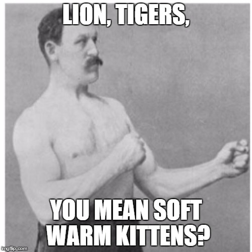 Overly Manly Man | LION, TIGERS, YOU MEAN SOFT WARM KITTENS? | image tagged in memes,overly manly man | made w/ Imgflip meme maker