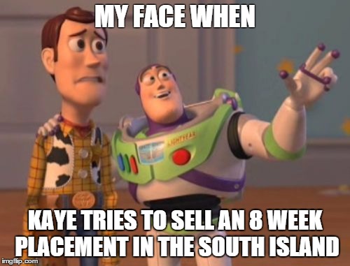 X, X Everywhere Meme | MY FACE WHEN KAYE TRIES TO SELL AN 8 WEEK PLACEMENT IN THE SOUTH ISLAND | image tagged in memes,x x everywhere | made w/ Imgflip meme maker