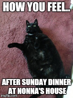 Fat Black Cat | HOW YOU FEEL.. AFTER SUNDAY DINNER AT NONNA'S HOUSE | image tagged in fat black cat | made w/ Imgflip meme maker