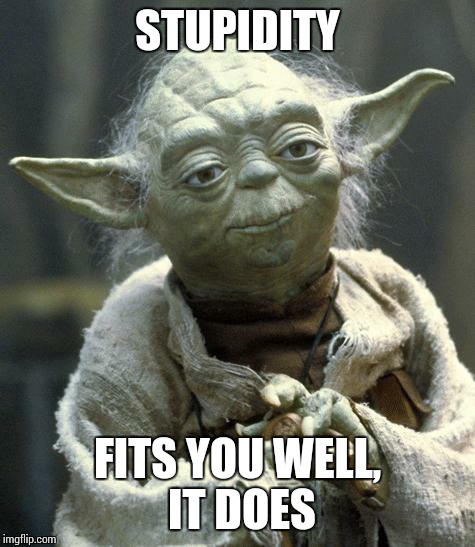 The Force Is Not Strong Here | STUPIDITY FITS YOU WELL, IT DOES | image tagged in bigot yoda | made w/ Imgflip meme maker