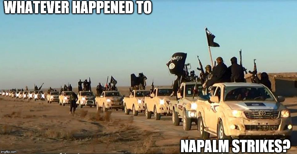 Terrorists | WHATEVER HAPPENED TO NAPALM STRIKES? | image tagged in napalm,is | made w/ Imgflip meme maker
