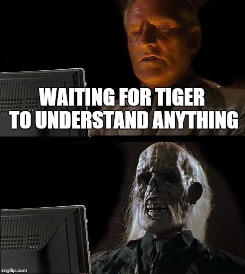 I'll Just Wait Here Meme | WAITING FOR TIGER TO UNDERSTAND ANYTHING | image tagged in memes,ill just wait here | made w/ Imgflip meme maker