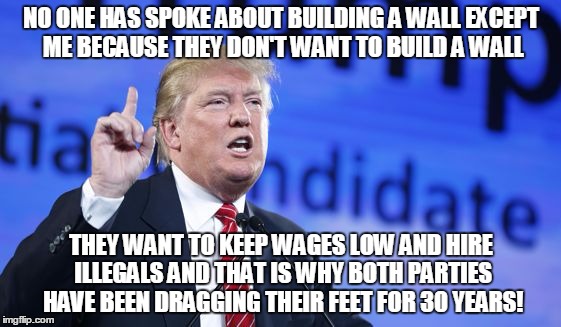 The Donald Says: Build that wall!!! | NO ONE HAS SPOKE ABOUT BUILDING A WALL EXCEPT ME BECAUSE THEY DON'T WANT TO BUILD A WALL THEY WANT TO KEEP WAGES LOW AND HIRE ILLEGALS AND T | image tagged in donald trump,illegal immigration,e verify,politicians | made w/ Imgflip meme maker