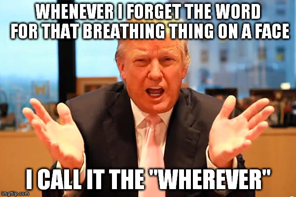 WHENEVER I FORGET THE WORD FOR THAT BREATHING THING ON A FACE I CALL IT THE "WHEREVER" | image tagged in trumpnose | made w/ Imgflip meme maker