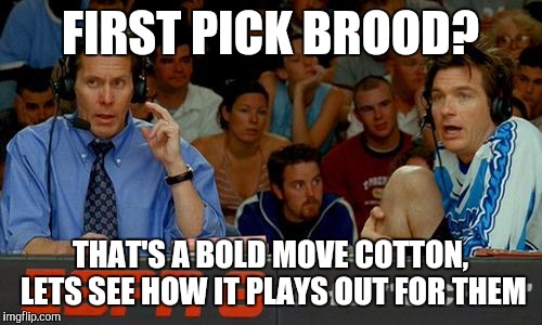 Bold Strategy Cotton | FIRST PICK BROOD? THAT'S A BOLD MOVE COTTON, LETS SEE HOW IT PLAYS OUT FOR THEM | image tagged in bold strategy cotton | made w/ Imgflip meme maker