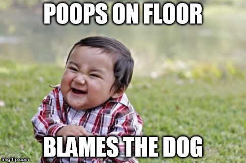 Muhahaha | POOPS ON FLOOR BLAMES THE DOG | image tagged in memes,evil toddler | made w/ Imgflip meme maker